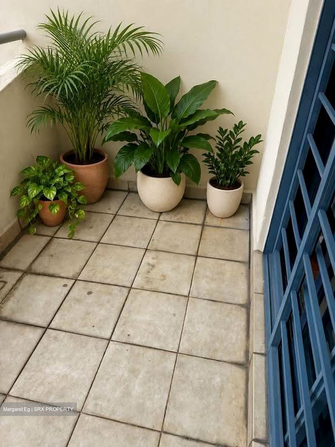 Nineteen Shelford Road (D11), Condominium #634920771